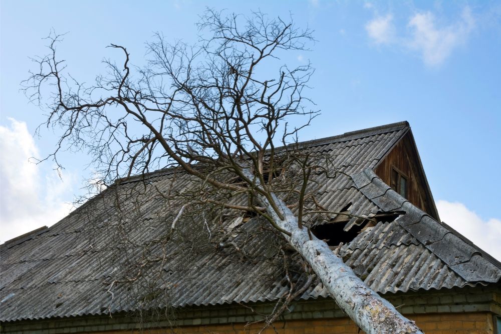 Roof damage covered by insurance in Florida